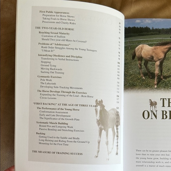 Training Your Foal Book by Renate Ettl - Picture 4 of 4